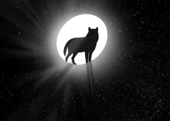 2024 tallinn black nights film festival