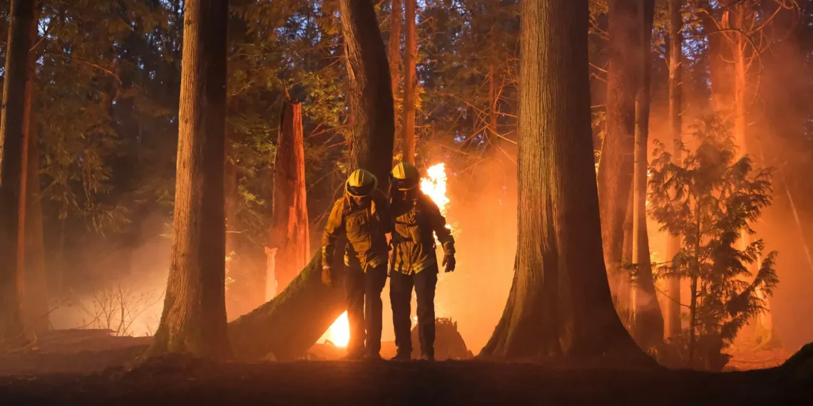 Fire Country