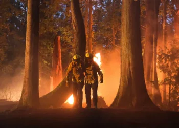 Fire Country