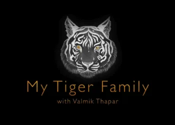 My Tiger Family Review