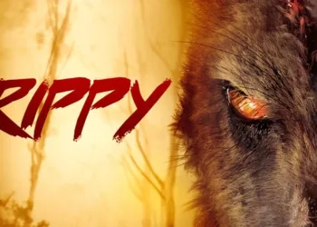 Rippy Review