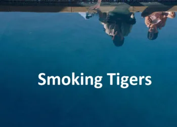 Smoking Tigers Review
