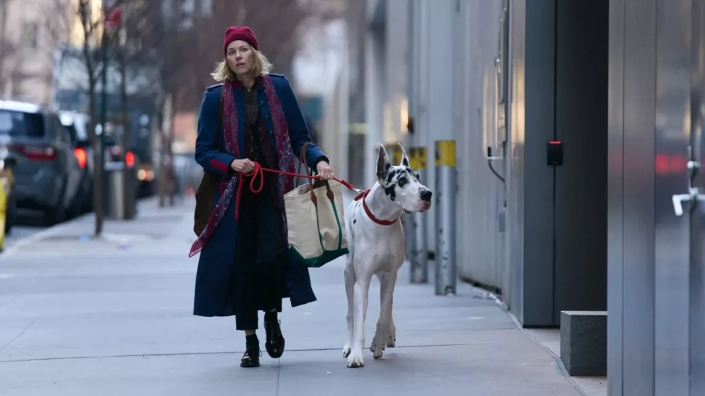The Friend Review
