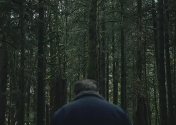 To Kill a Wolf Review