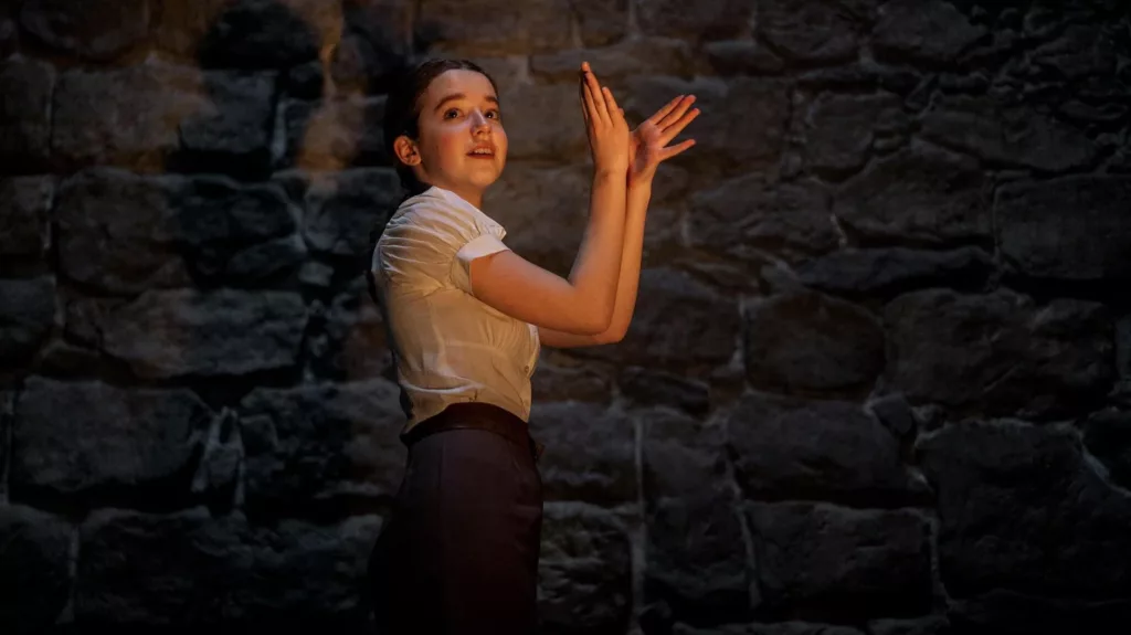 White Bird Review