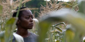 40 Acres Review