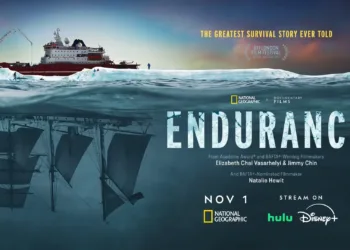 Endurance Review