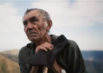 The Shepherd and the Bear