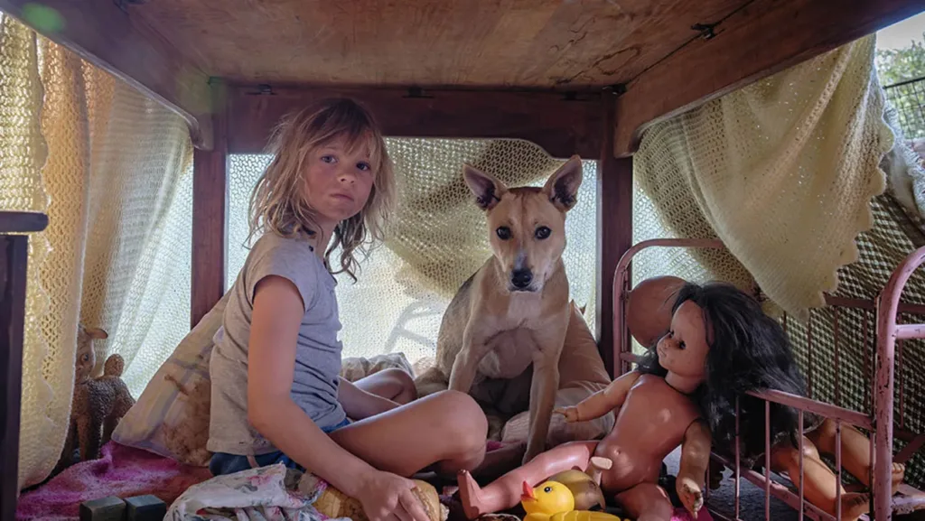 Don't Let's Go to the Dogs Tonight Review