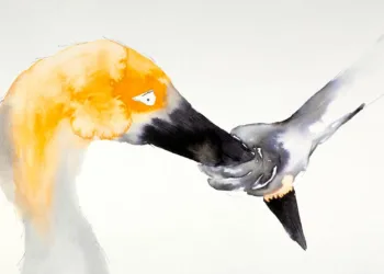 La Perra