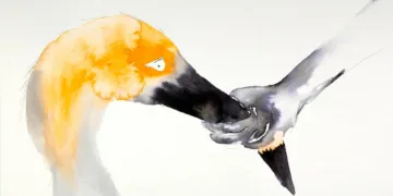 La Perra