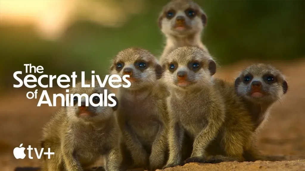 The Secret Lives of Animals Review