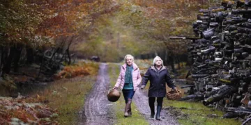 When Fall Is Coming Review