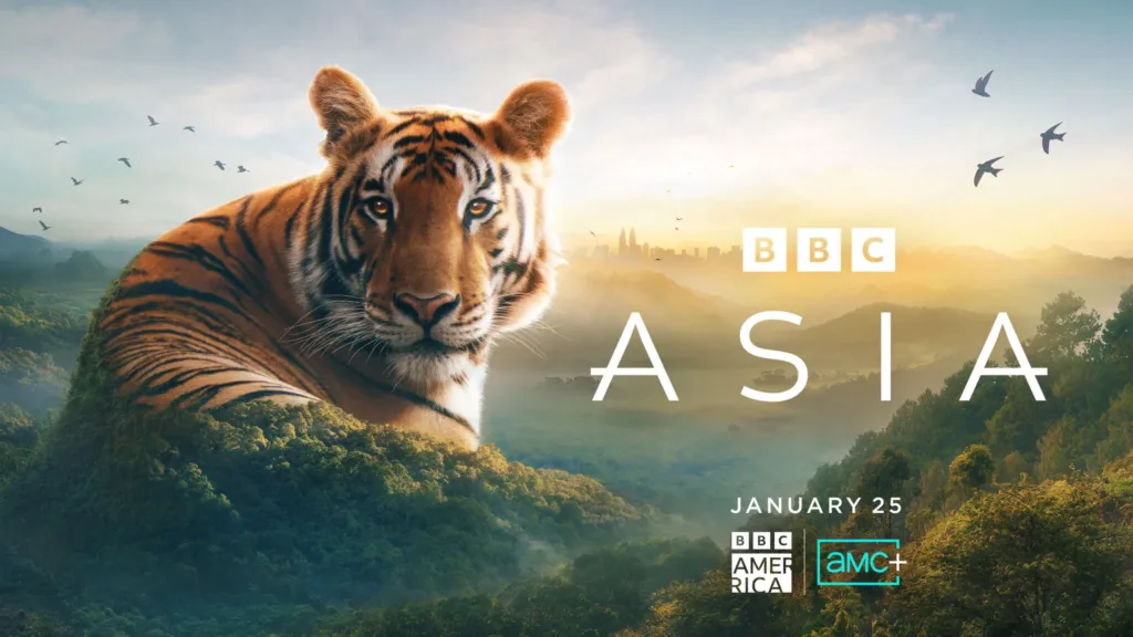 Asia Review