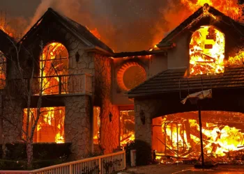 Los Angeles Wildfires