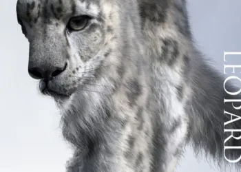 Snow Leopard Review