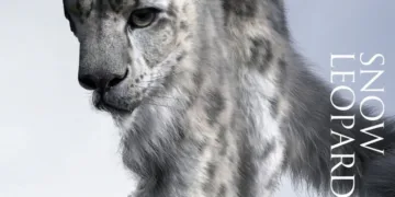 Snow Leopard Review
