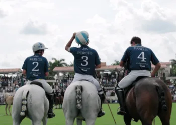 Polo Season 1 Review