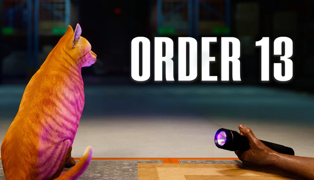 ORDER 13 Review
