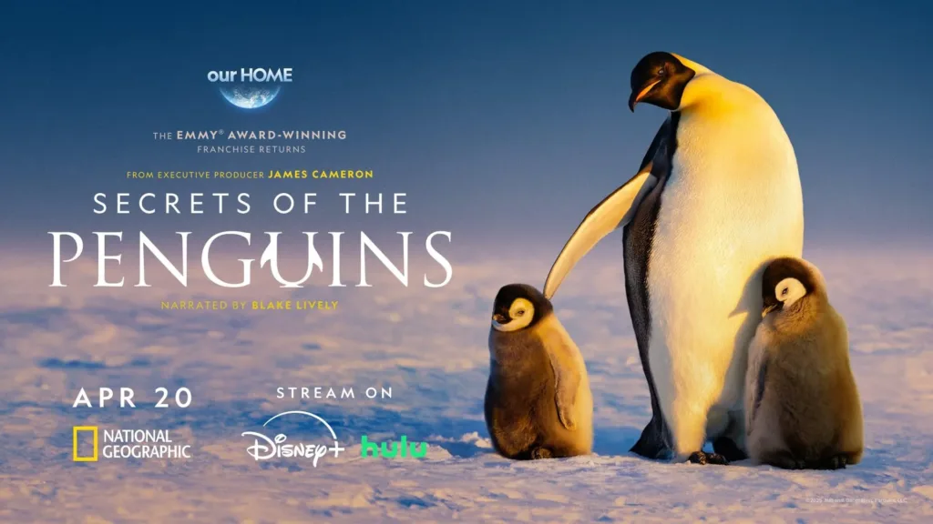 Secrets of the Penguins Review