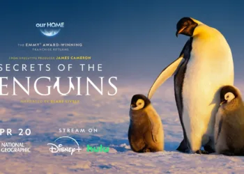 Secrets of the Penguins Review
