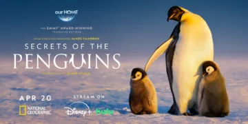 Secrets of the Penguins Review
