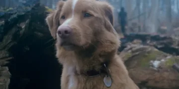 Good Boy Review