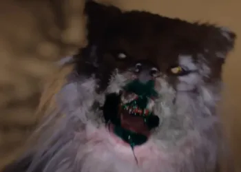 Alma and the Wolf Review