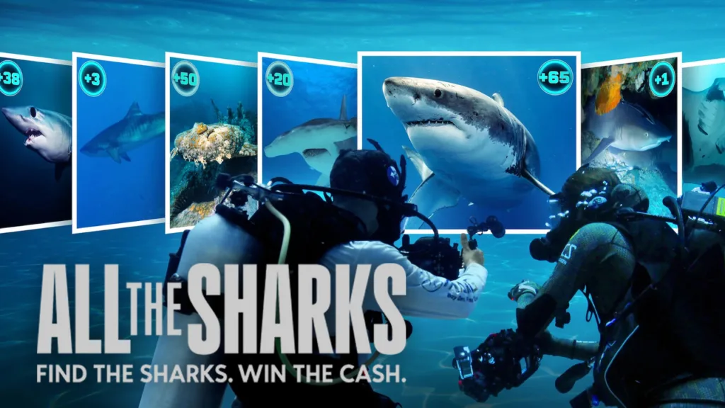 All the Sharks Review