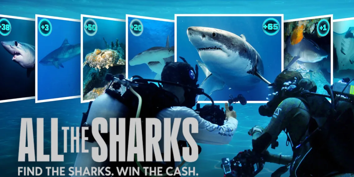 All the Sharks Review
