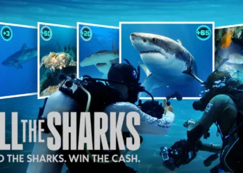 All the Sharks Review