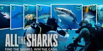 All the Sharks Review