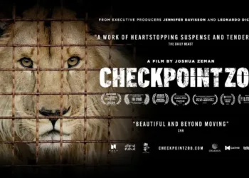Checkpoint Zoo Review