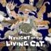 Nyaight of the Living Cat Review: Resisting the Urge to Pet 10 Nyaight of the Living Cat Review