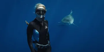 Shark Whisperer Review: An Anatomy of a Beautiful Obsession 1 Shark Whisperer Review