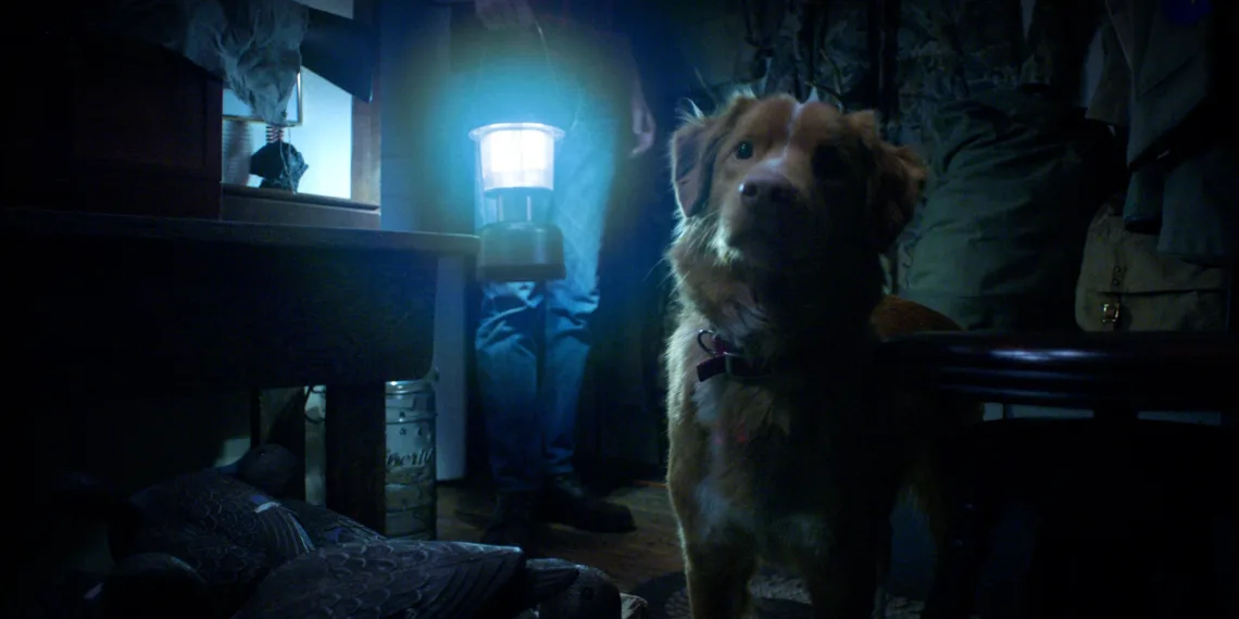 Good Boy Trailer Unleashes A Dog’s-Eye Haunted House 41 Good Boy 2025