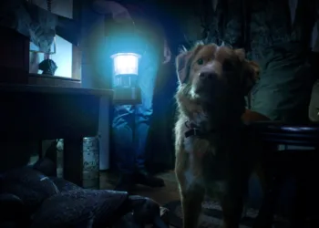 Good Boy 2025