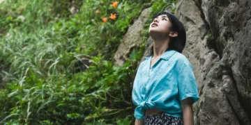 Two Seasons, Two Strangers Review