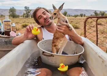 Kangaroo Review