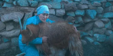 The Wolves Always Come at Night
