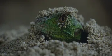 Nightmares of Nature Season 2 Review