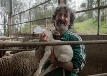 Old Dog, New Tricks Review