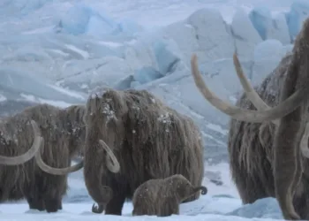 Prehistoric Planet Ice Age Review