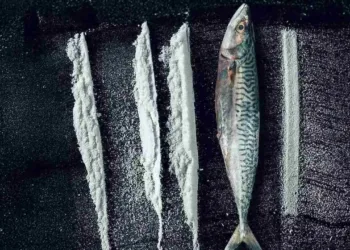 Turn of the Tide: The Surreal Story of Rabo de Peixe Review