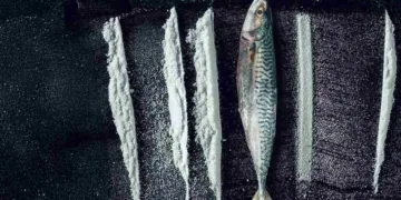 Turn of the Tide: The Surreal Story of Rabo de Peixe Review