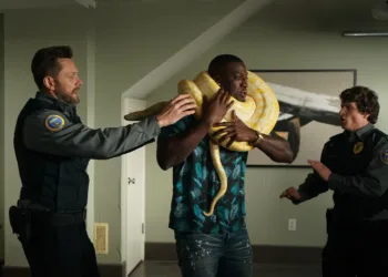 Animal Control