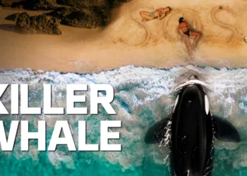 Killer Whale Review