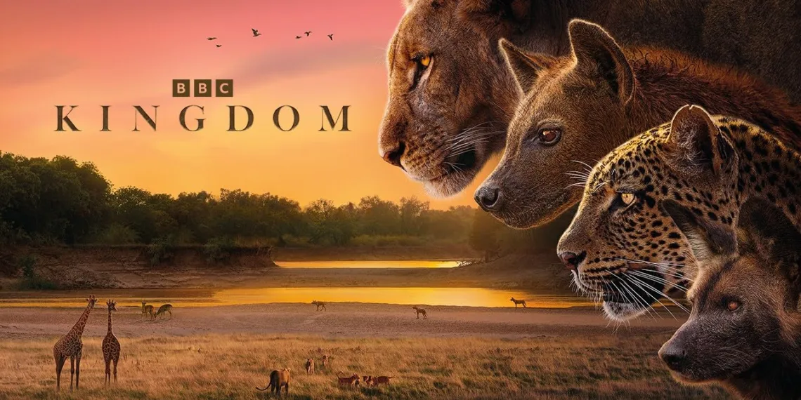 Kingdom Review