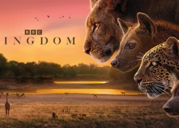 Kingdom Review