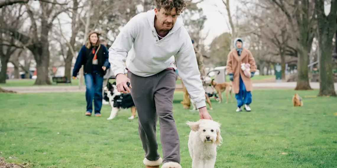 Dog Park Review: Celia Pacquola Adds Levity to This Deeply Human Dramedy 41 Dog Park Review